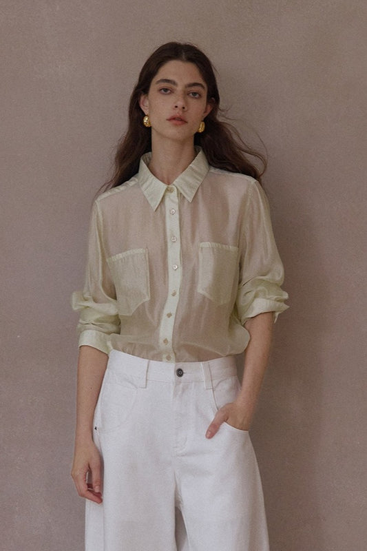 Viscose blend sheer regular fit shirt | 4 color