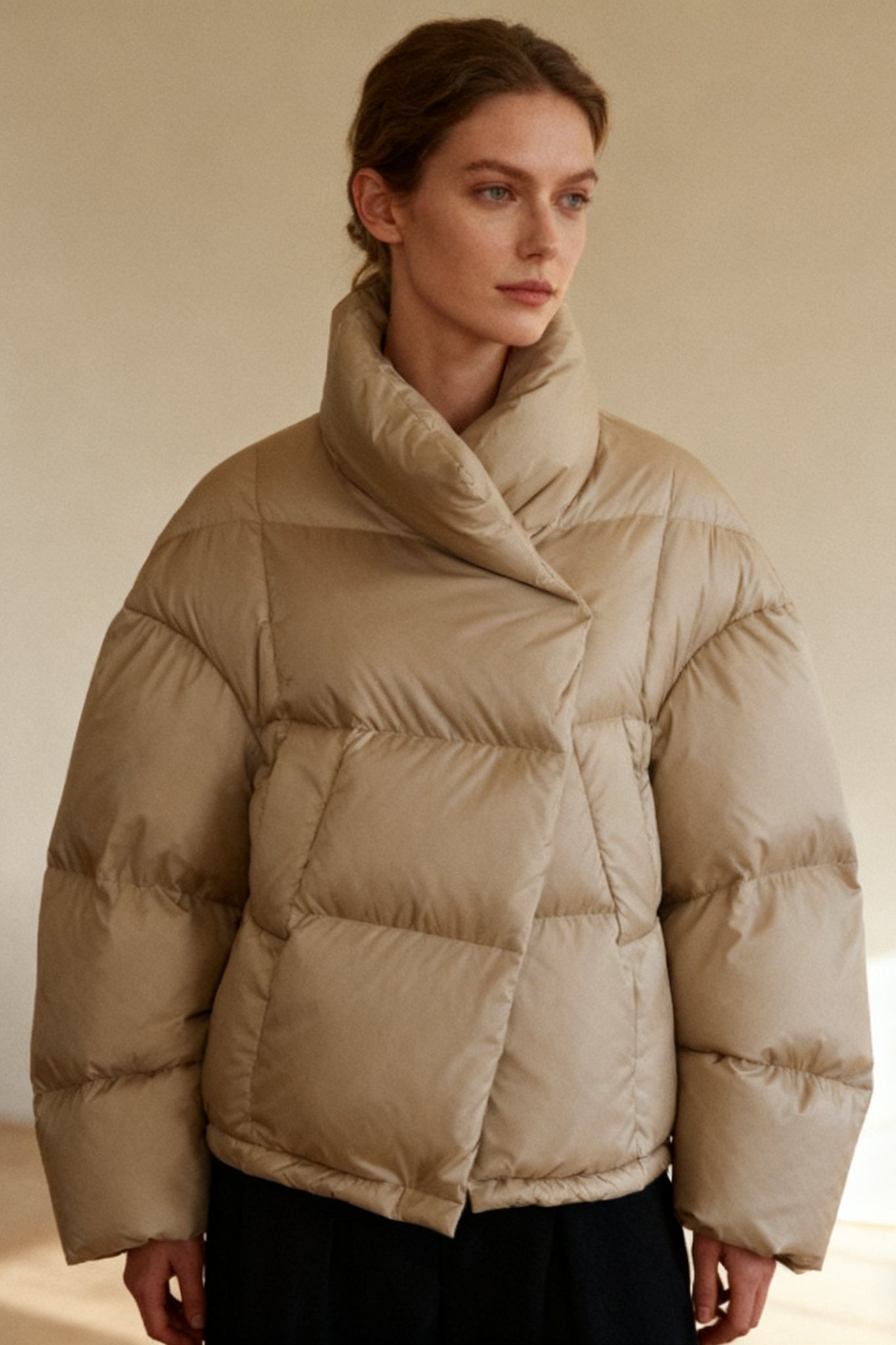 Modern stand collar cropped down jacket | 3 color