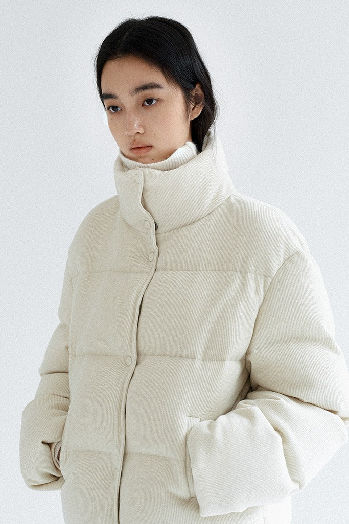 Modern stand collar down jacket | 2 color