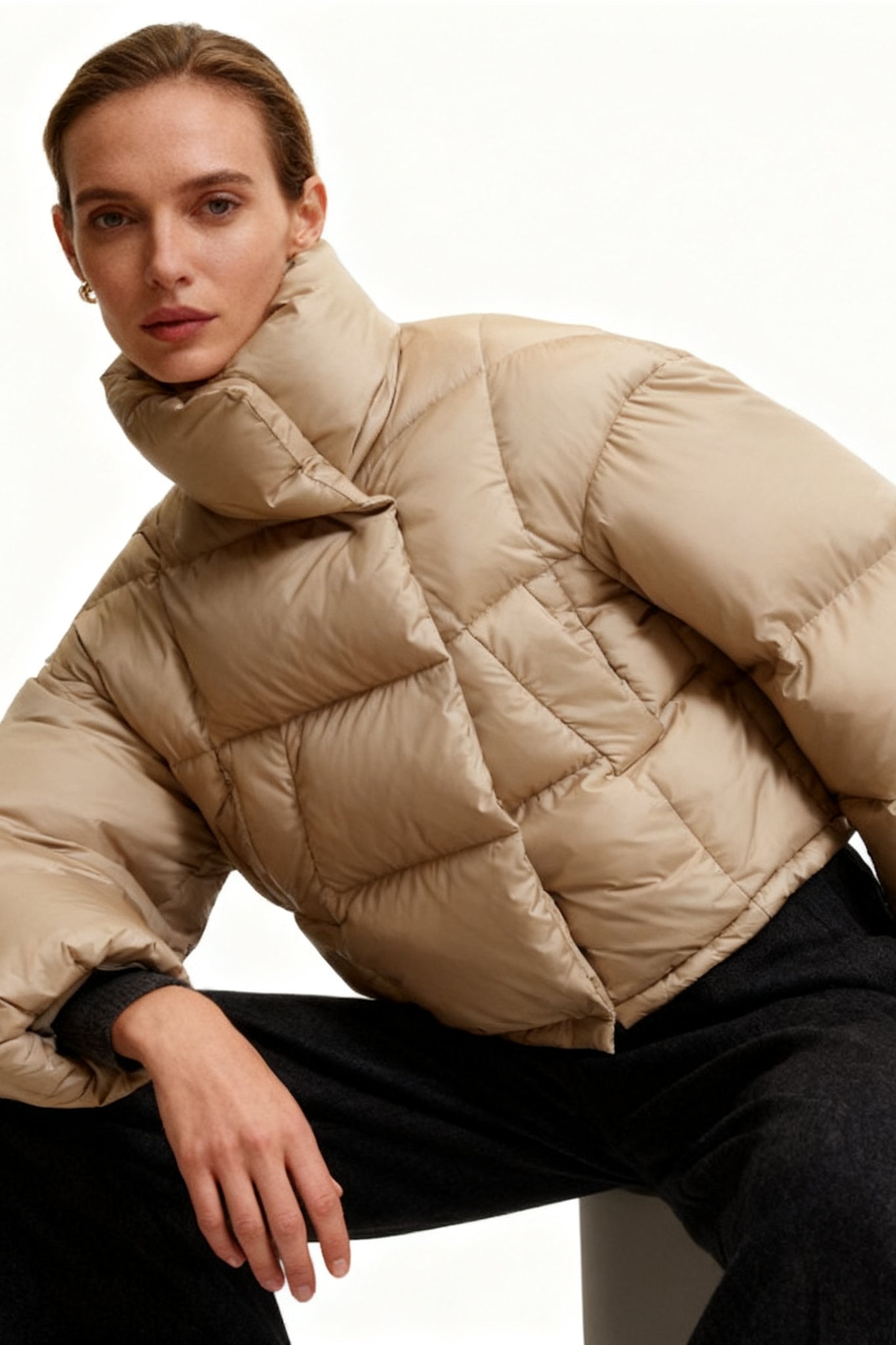 Modern stand collar cropped down jacket | 3 color