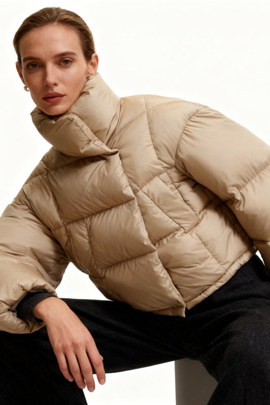 Modern stand collar cropped down jacket | 3 color