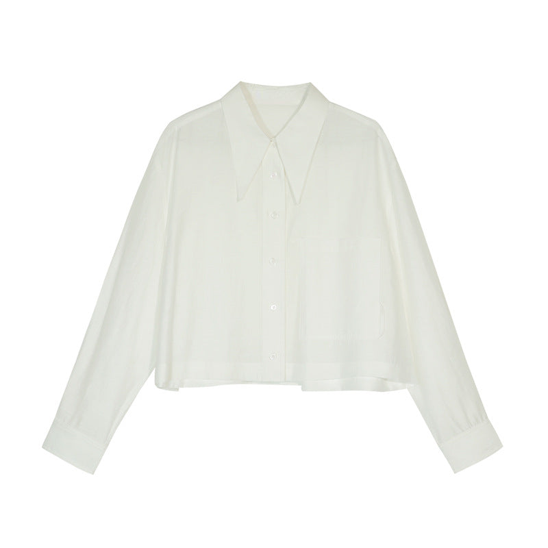 Long pointed collar transparent tencel shirt | 10 color